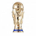World Cup VIP